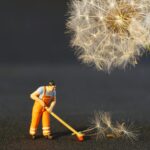 Professionele schoonmaak in Brabant voor een stralend schoon huis en kantoor